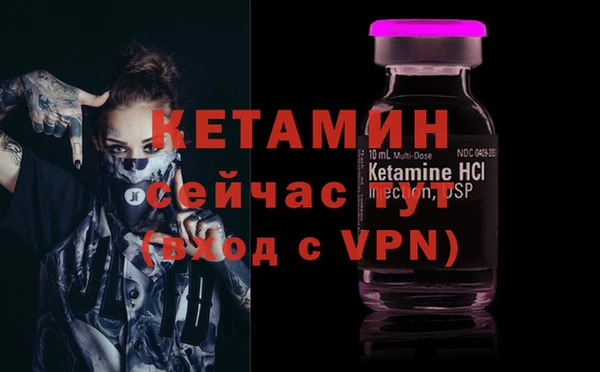 PSILOCYBIN Майский